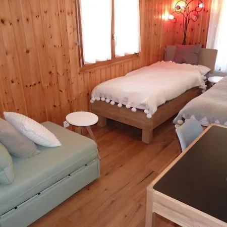 Appartement Sleeps 5 Pool Wifi Ovronnaz